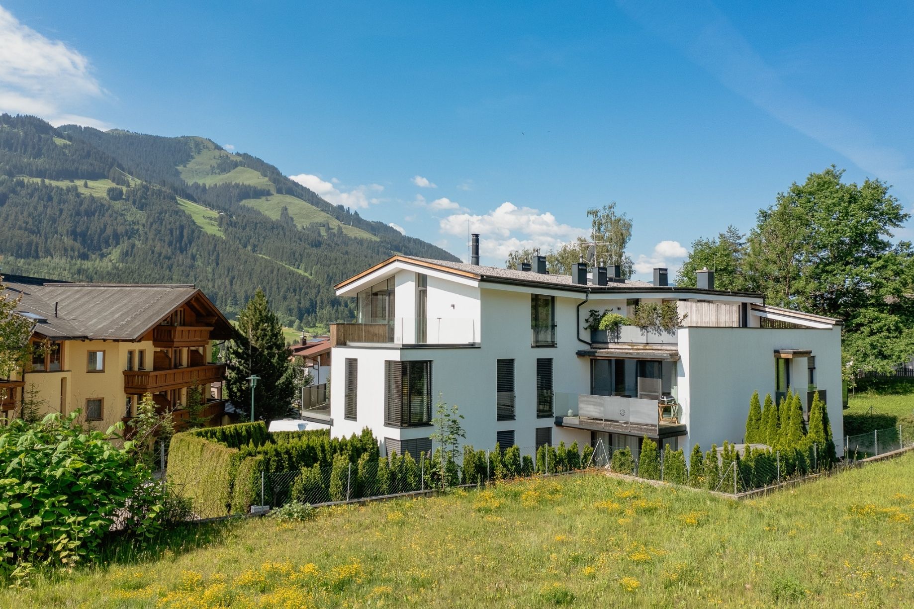 Alpine Garden — Österreich, Austria