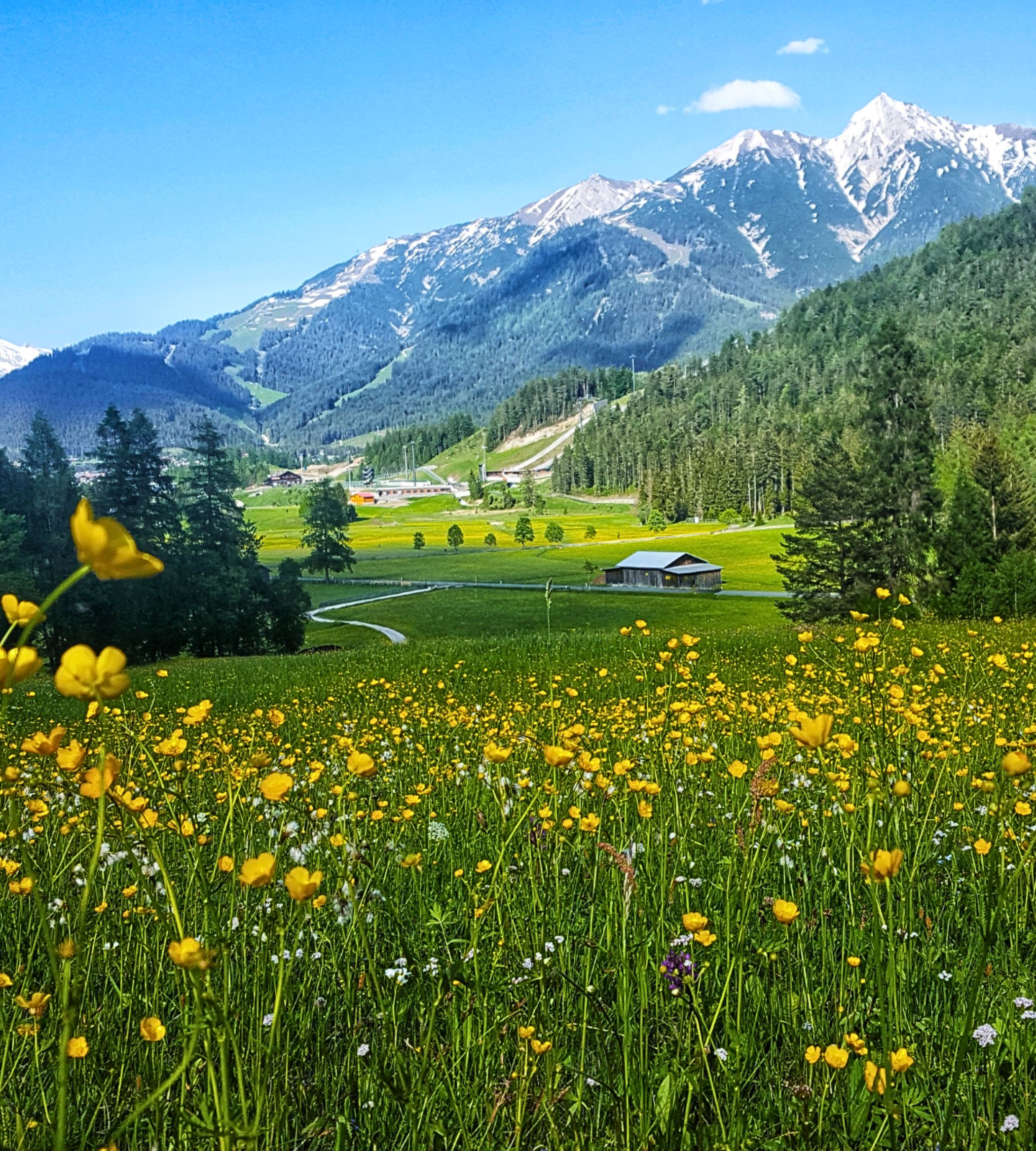 Mapa lokalizacji — Alpine Garden, Österreich, Austria