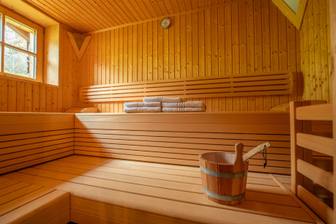 Chalet Wildkogel — Neukirchen, Austria